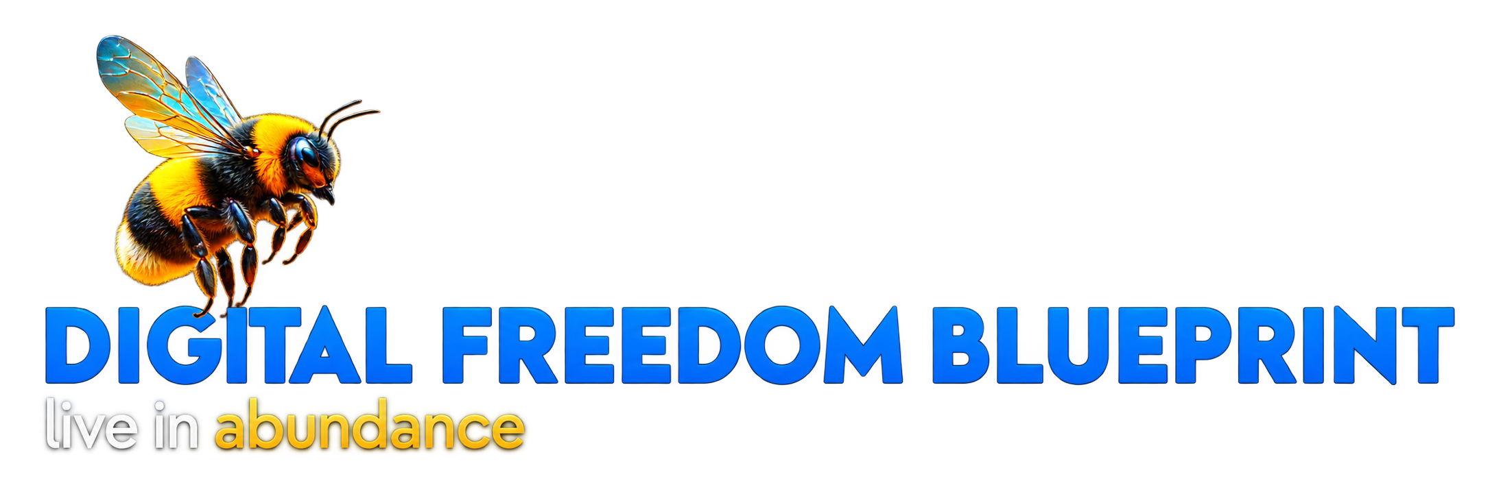 Digital Freedom Blueprint